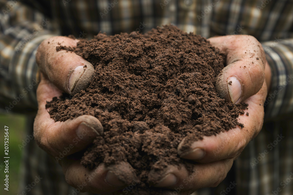 closeup hand of person holding abundance soil for agriculture or planting peach.
